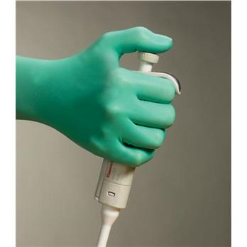 Chloroprene Exam Gloves