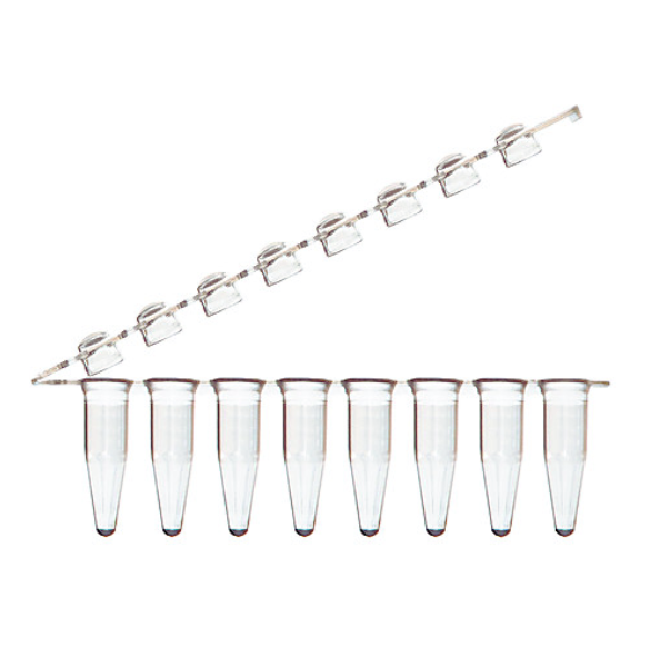 Amplifyt® PCR Zipper Strip Tubes & Caps