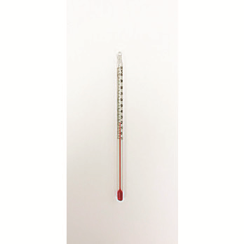 Student Thermometers